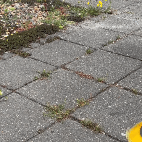 Set med mångsidiga trimningsborstar för perfekta resultat